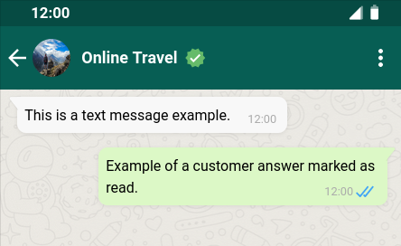 Exemplo de mensagem de texto no WhatsApp