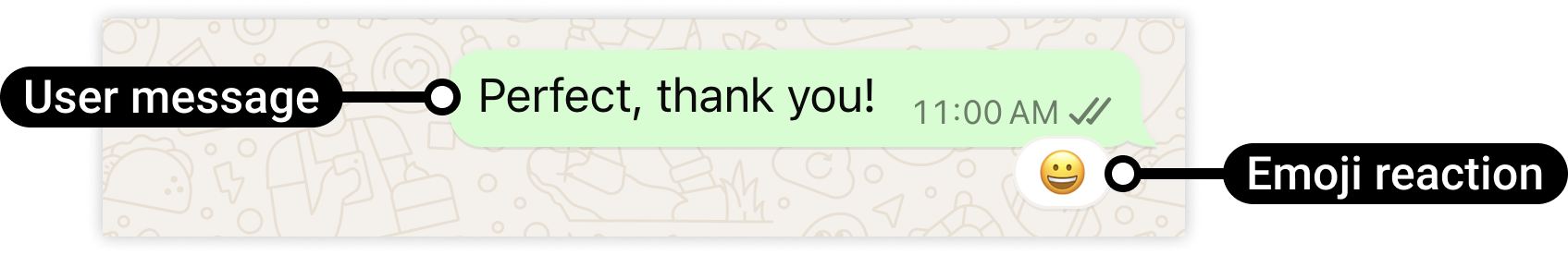 Exemplo de mensagem de texto no WhatsApp